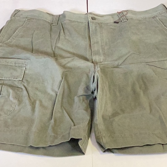 Transcript  Grey/Green Shorts - Picture 5 of 11